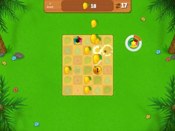 Island Puzzle